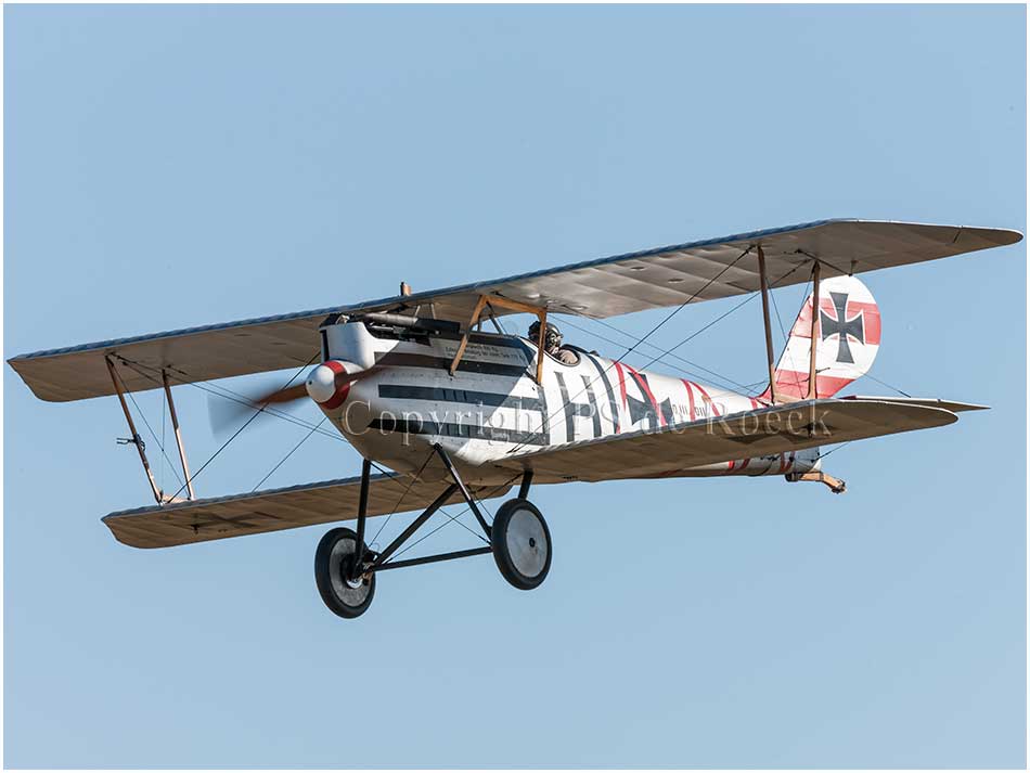 Pfalz DIII